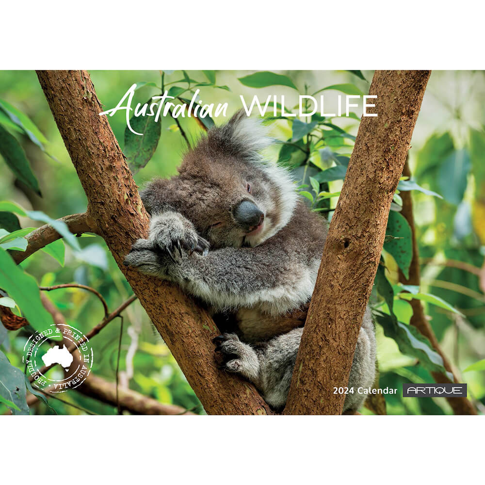 2024 Australian Wildlife Calendar for the Best Australian Souvenirs