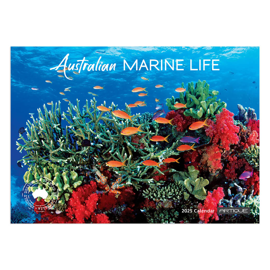 2025 Australian Marine Life Calendar at the Bits of Australia Souvenir Shop