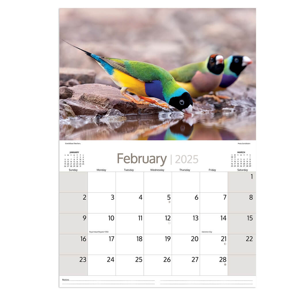 2025 Australian Native Birds Calendar for made in Australia Souvenirs