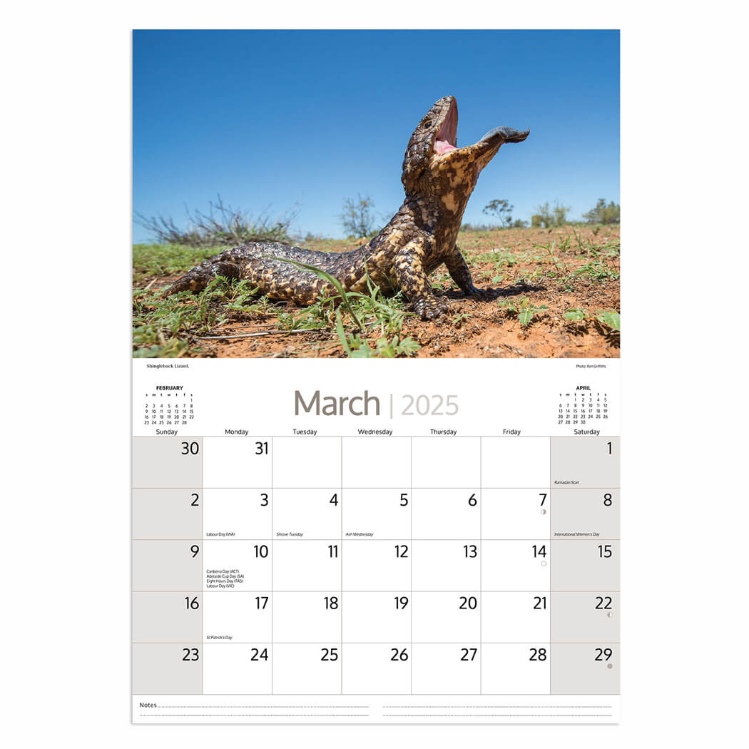 2025 Australian Wildlife Calendar for Gifts to Send Overseas Made in Australia