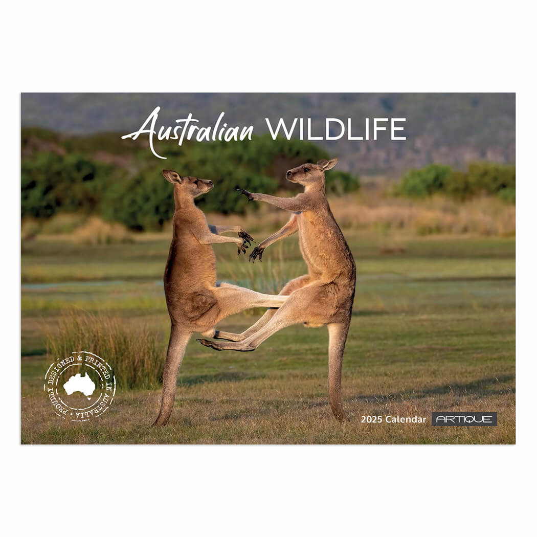 2025Australian Wildlife Calendar for Souvenirs Australia Features A Kangaroo