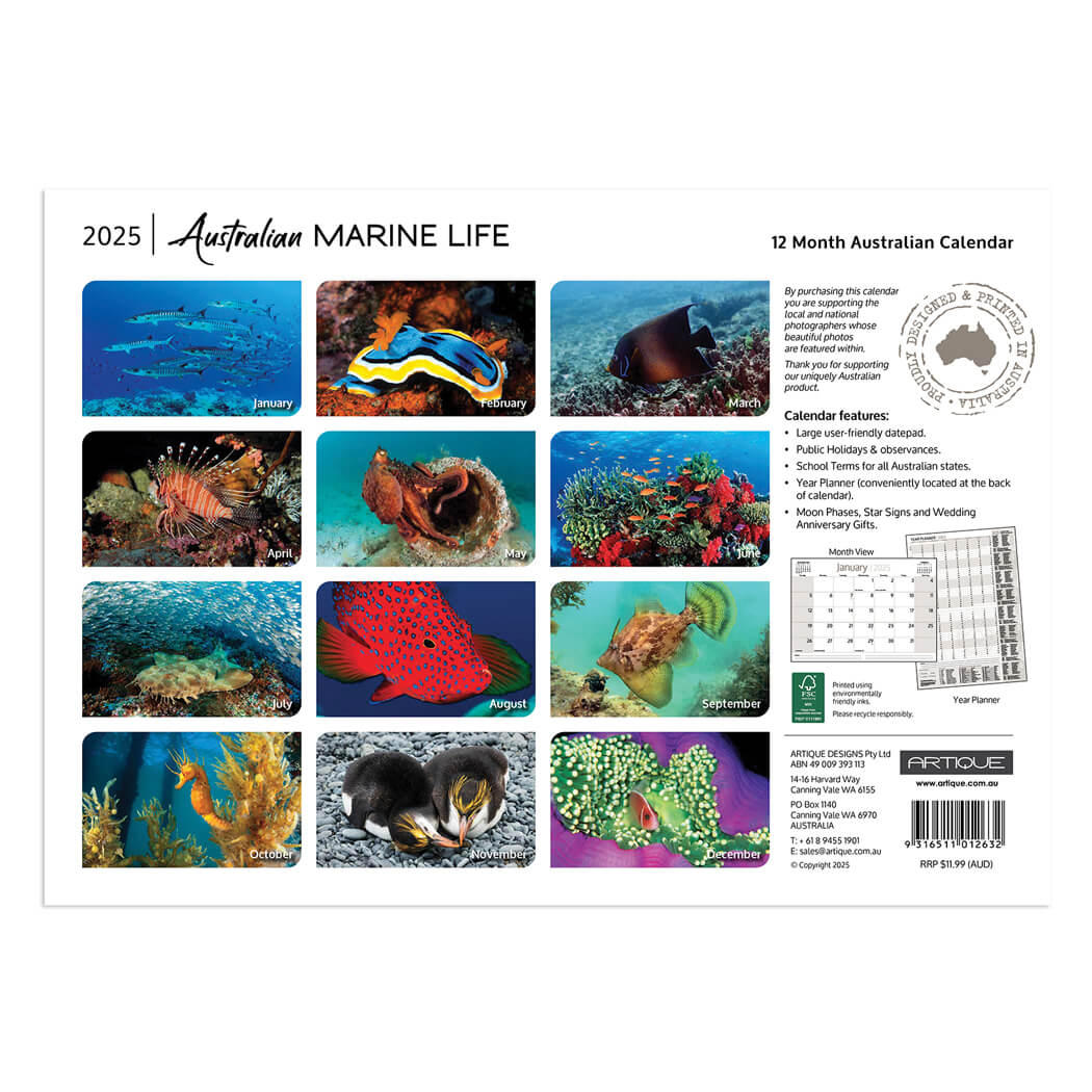 2025 Marine Animals Australian Souvenir Calendar