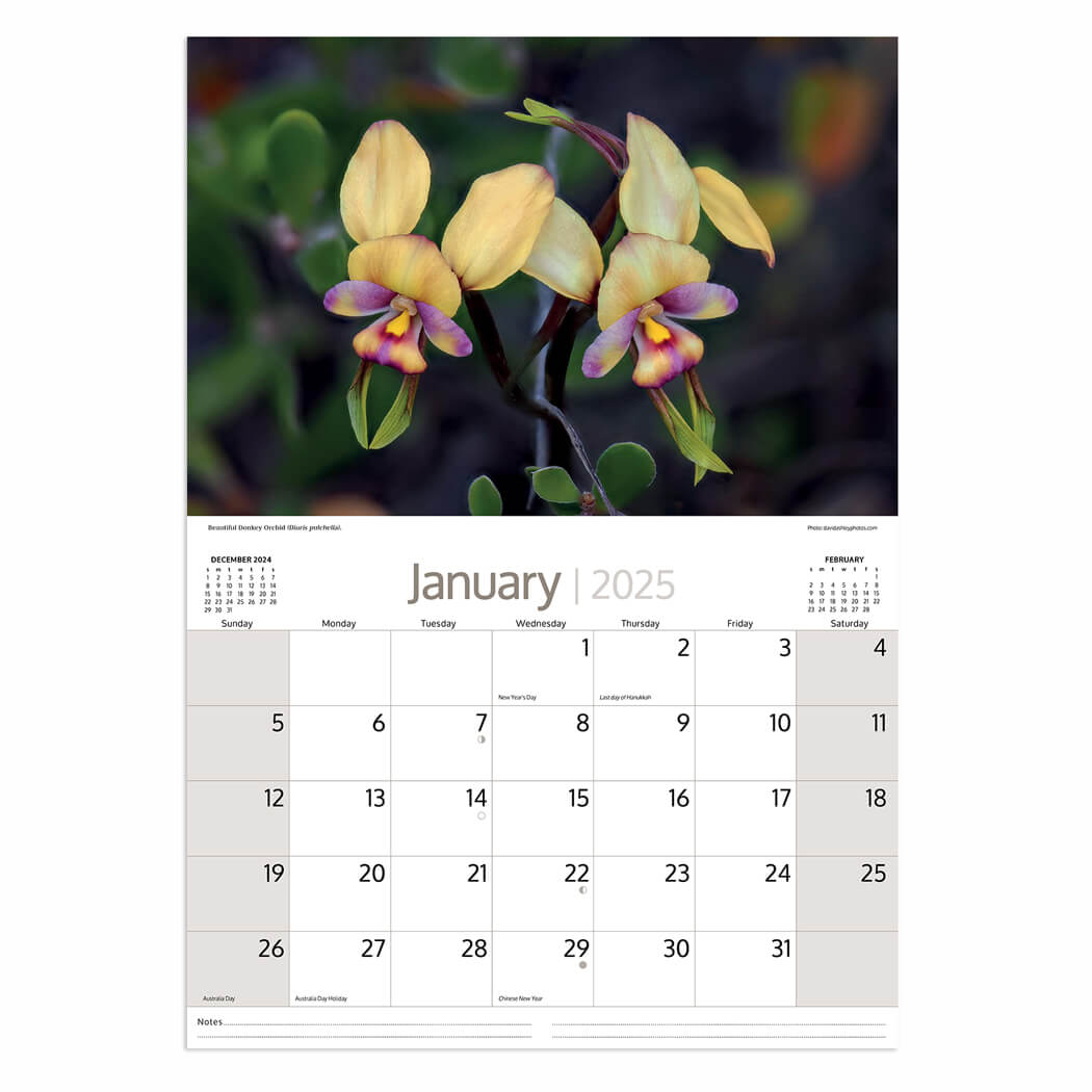 2025 Native Flowers Calendar for Australian Souvenirs Made in Australia