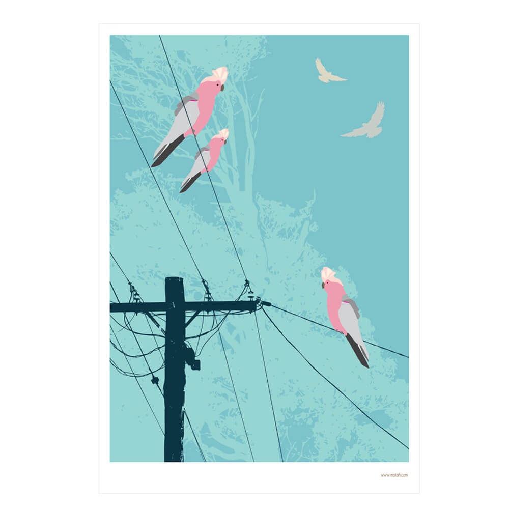 Australian Art for Sale Galahs on the Power Lines Print by Mokoh