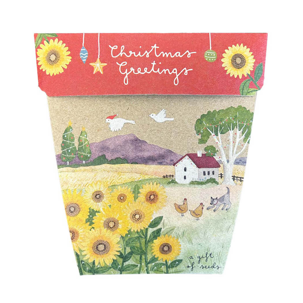 Christmas Gifts for Gardens Australia A Gift of Sunflower Seeds by Sow n Sow