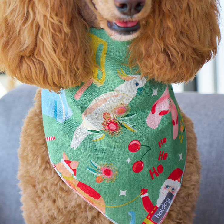 Aussie Christmas Dog Bandana