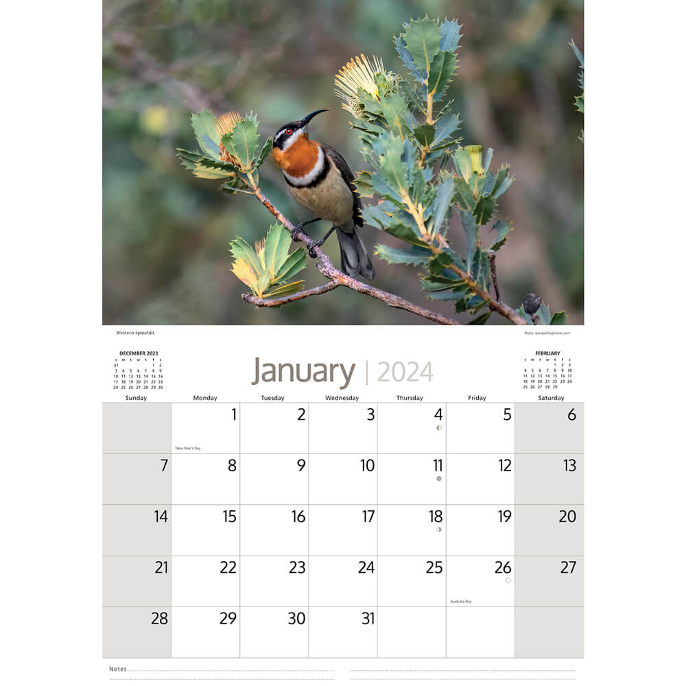 2024 Australian Bird Calendar for Australian Gifts to Send Overseas