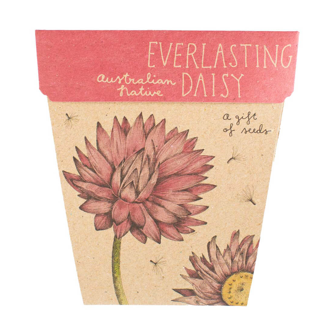 Gifts for Gardeners Australia A Gift of Native Ever Lasting Daisies by Sow n Sow