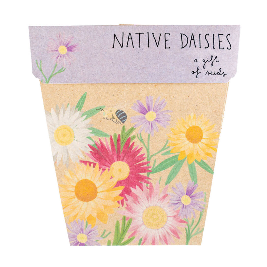 Australian Gifts for Gardeners A Gift of Native Daisy Seeds