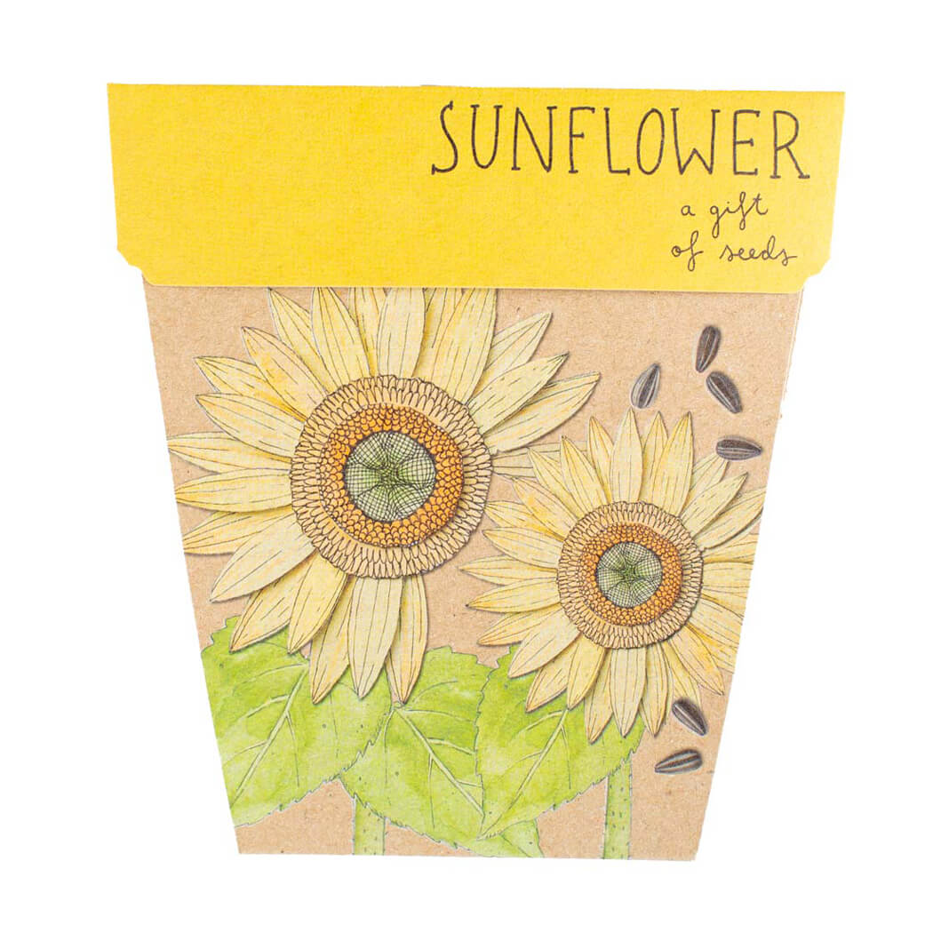 Gift for Gardenera Australia A Gift of Sunflower Seeds by Sow n Sow