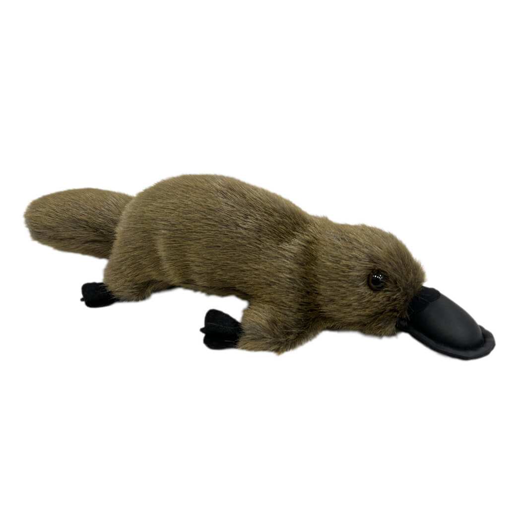Platypus Soft Toy Australian Made Souvenirs