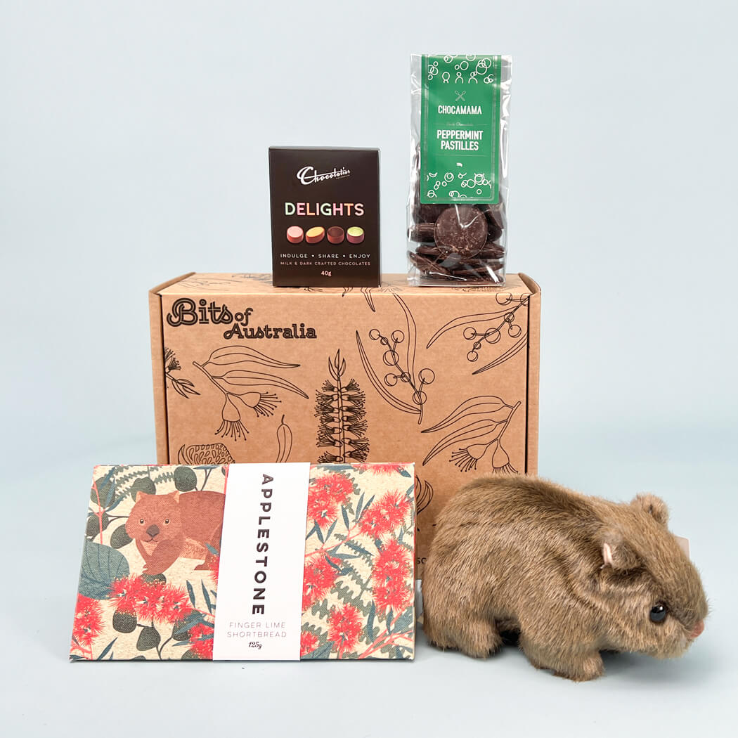 Wombat Gifts Australia Buy The Best Souvenirs Sydney