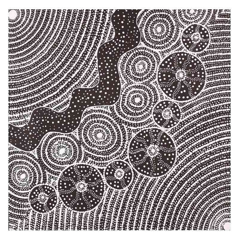 Authentic Aboriginal Art Australia by Natasha Nakamarra Oldfield - Bits ...